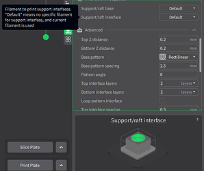 CP5-Bug-1