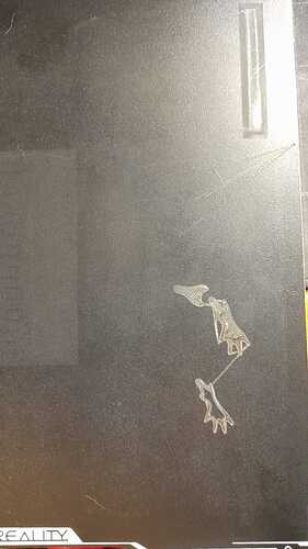 WhatsApp Image 2025-11-25 at 15.54.42_0dabfb3a