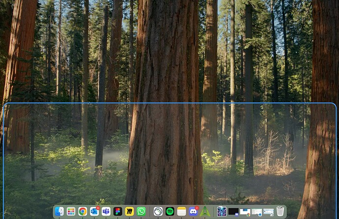 Screenshot 2025-09-05 at 10.19.38