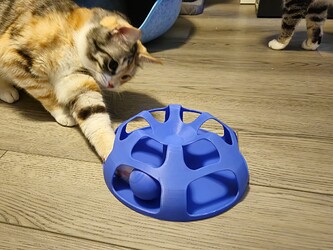 Cat Toy 4x3