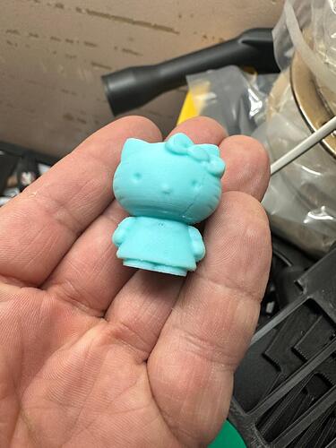 kitty