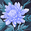 Carrie_Wingo
