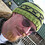 Duane_Roelands