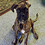 Glenn_Neff Glenn_Neff