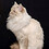 Keith_Mok