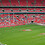 Matty_Wilson