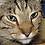 Peter_Bresler
