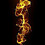 Priyan_Idirisingha