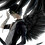 Sepherence