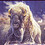 Tonya_Ebert