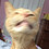 willow_boolman